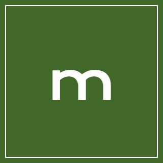 Company minimalist m logo